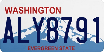 WA license plate ALY8791