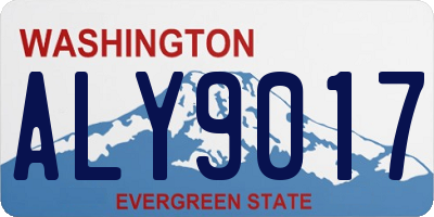 WA license plate ALY9017