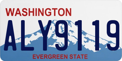 WA license plate ALY9119