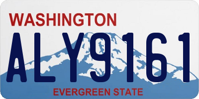 WA license plate ALY9161
