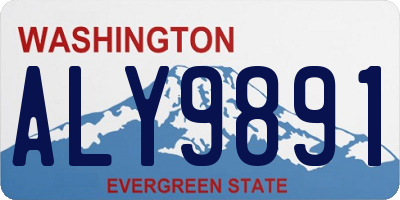 WA license plate ALY9891