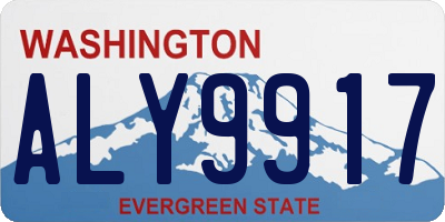 WA license plate ALY9917