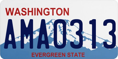 WA license plate AMA0313
