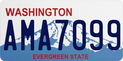 WA license plate AMA7099