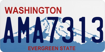 WA license plate AMA7313