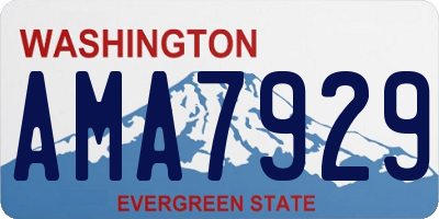 WA license plate AMA7929