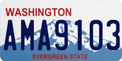 WA license plate AMA9103