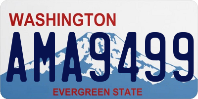 WA license plate AMA9499