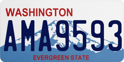 WA license plate AMA9593