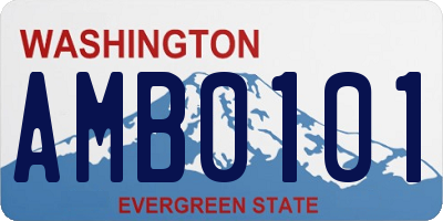 WA license plate AMB0101