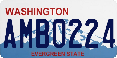 WA license plate AMB0224