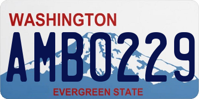 WA license plate AMB0229