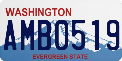 WA license plate AMB0519