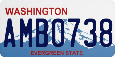 WA license plate AMB0738