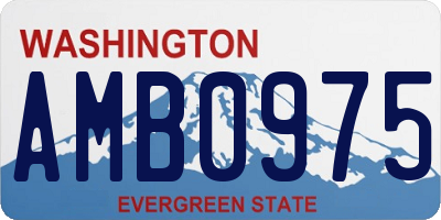 WA license plate AMB0975