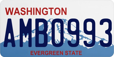WA license plate AMB0993