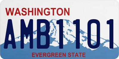 WA license plate AMB1101