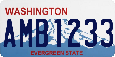 WA license plate AMB1233