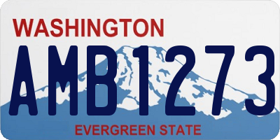 WA license plate AMB1273