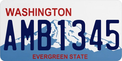 WA license plate AMB1345