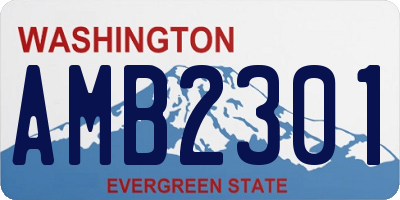 WA license plate AMB2301