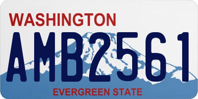 WA license plate AMB2561