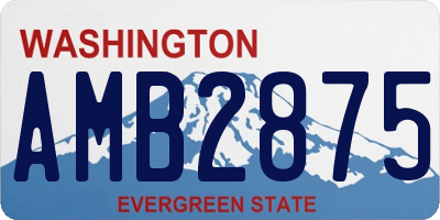 WA license plate AMB2875