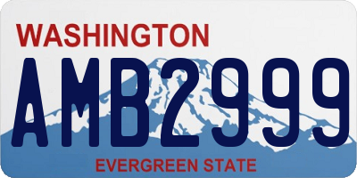 WA license plate AMB2999