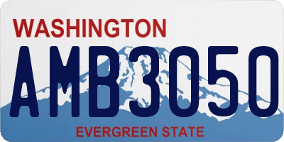 WA license plate AMB3050