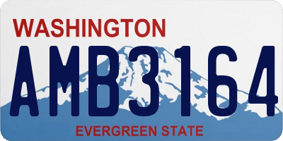 WA license plate AMB3164