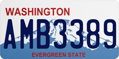 WA license plate AMB3389