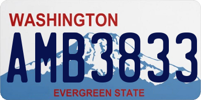 WA license plate AMB3833