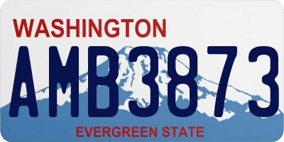 WA license plate AMB3873