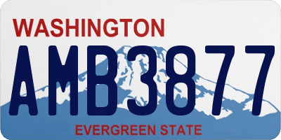 WA license plate AMB3877