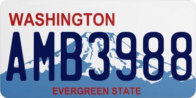 WA license plate AMB3988