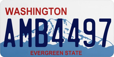 WA license plate AMB4497