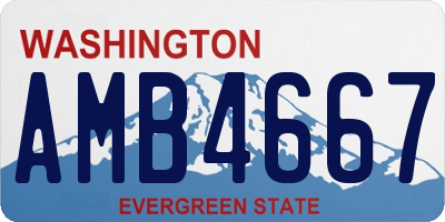 WA license plate AMB4667