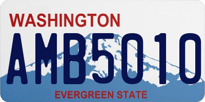WA license plate AMB5010