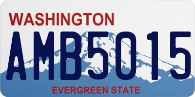 WA license plate AMB5015