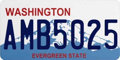 WA license plate AMB5025