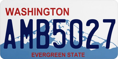 WA license plate AMB5027