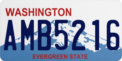 WA license plate AMB5216