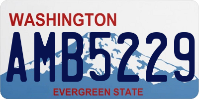 WA license plate AMB5229