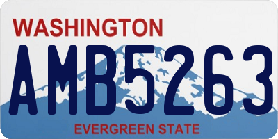 WA license plate AMB5263
