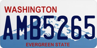 WA license plate AMB5265