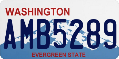 WA license plate AMB5289