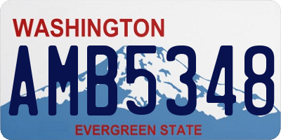 WA license plate AMB5348