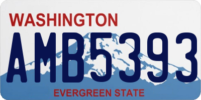 WA license plate AMB5393