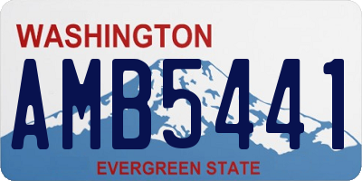 WA license plate AMB5441