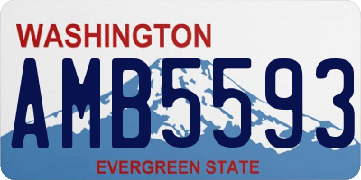 WA license plate AMB5593